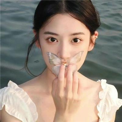 请多多关照